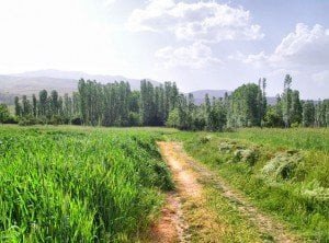 Afyon Kızılören Belediyesi