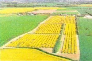 Arazi Toplulaştırması