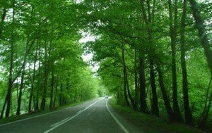 karadeniz-otoyolu Karadeniz Otoyolu